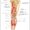 nerves of the lower leg
